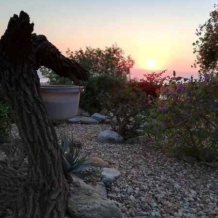 Onze Uitsight Cottage سانت هيلينا باي المظهر الخارجي الصورة