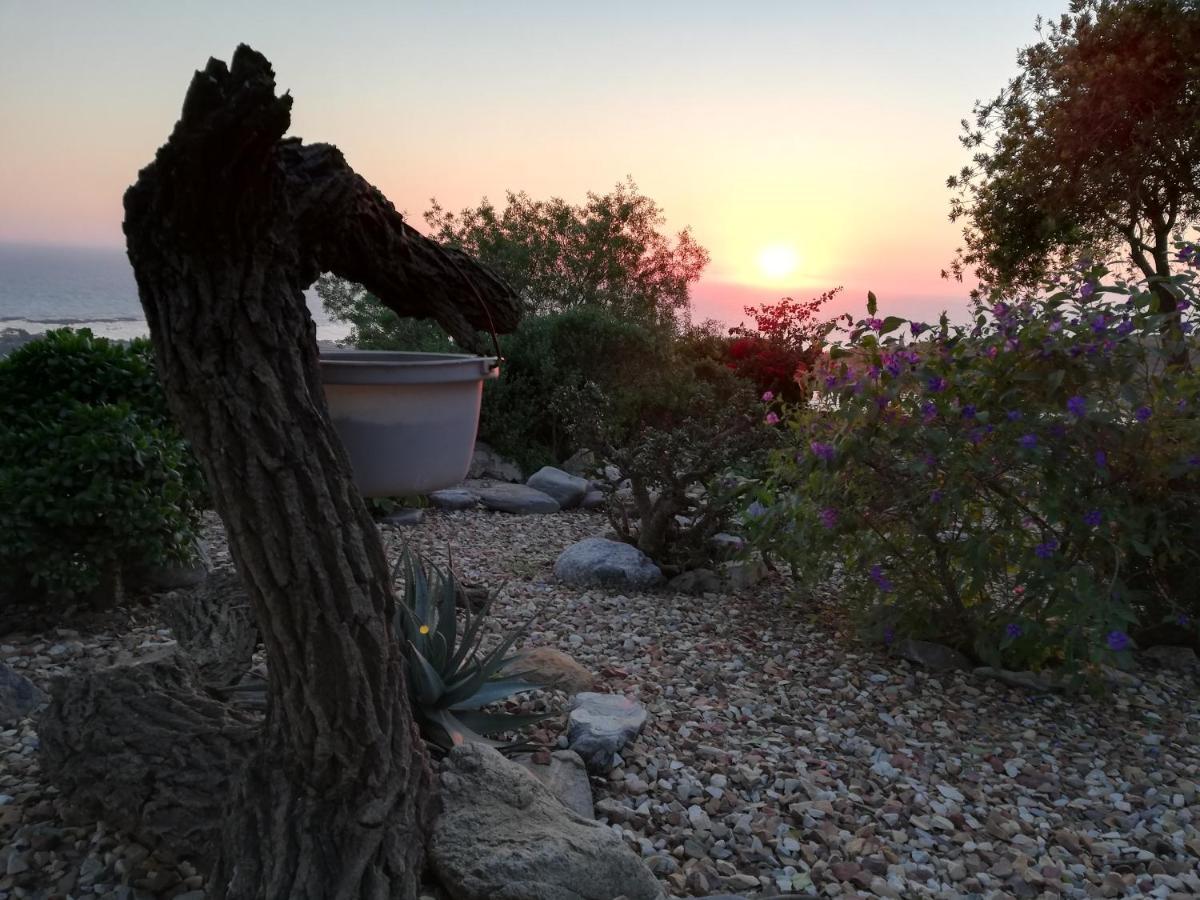 Onze Uitsight Cottage سانت هيلينا باي المظهر الخارجي الصورة